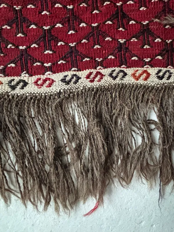 Large Turkmen Kilim Rug